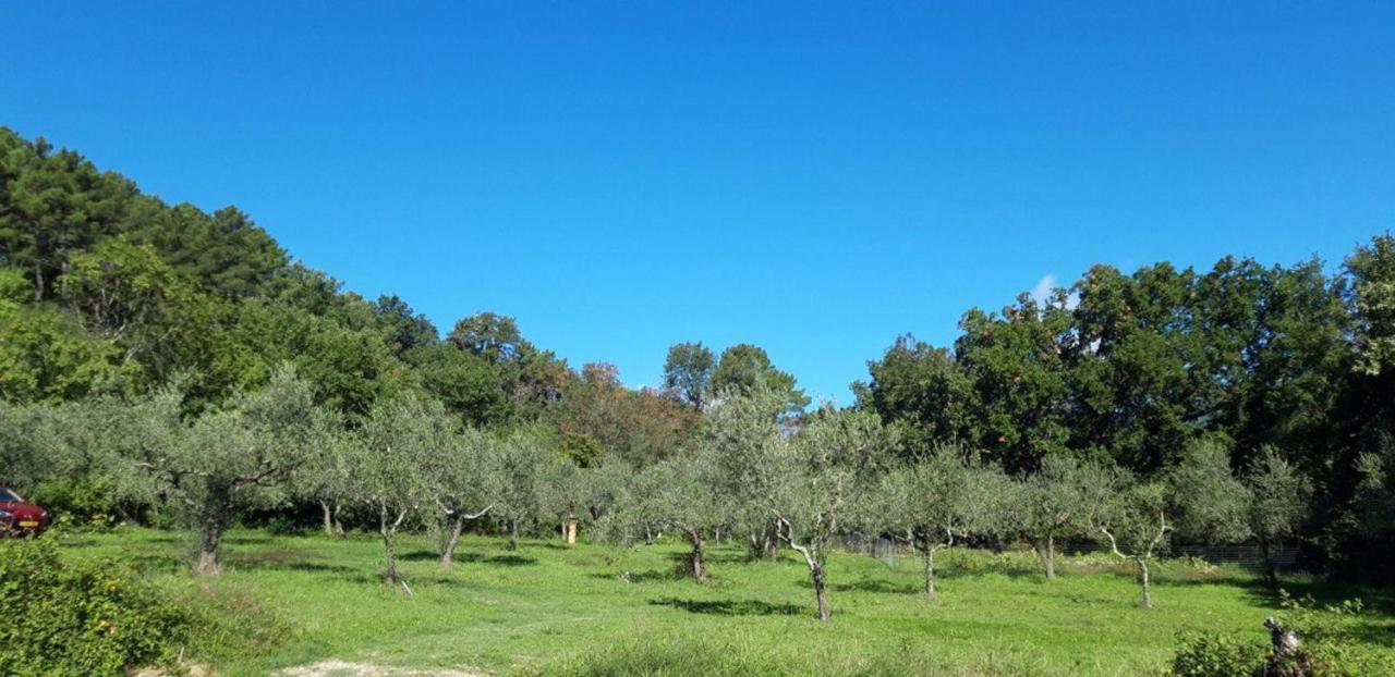 Agricampeggio Borgo Agna San Giustino Valdarno Zewnętrze zdjęcie
